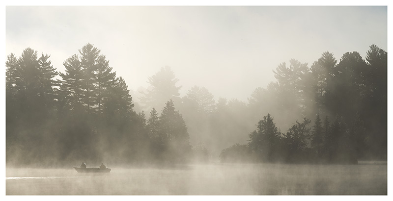 fog